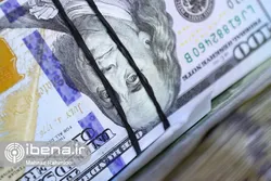 دلار توافقی در میانه کانال ۳۱ قیمت خورد