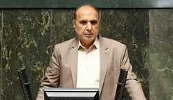 بازار ارز توافقی با نظارت بانک مرکزی موفق خواهد بود