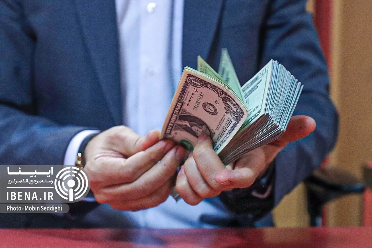 برای متعادل‌سازی نرخ دلار باید صبور بود/ تلاش بانک مرکزی در اصلاح نظام ارزی