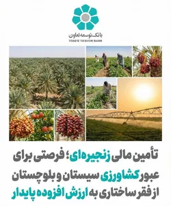 تأمین مالی زنجیره&zwnj;ای؛ فرصتی برای عبور کشاورزی سیستان و بلوچستان از فقر ساختاری به ارزش افزوده پایدار