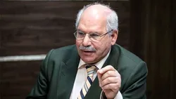 دولت در انحلال بانک&zwnj;های زیان&zwnj;ده حامی بانک مرکزی باشد