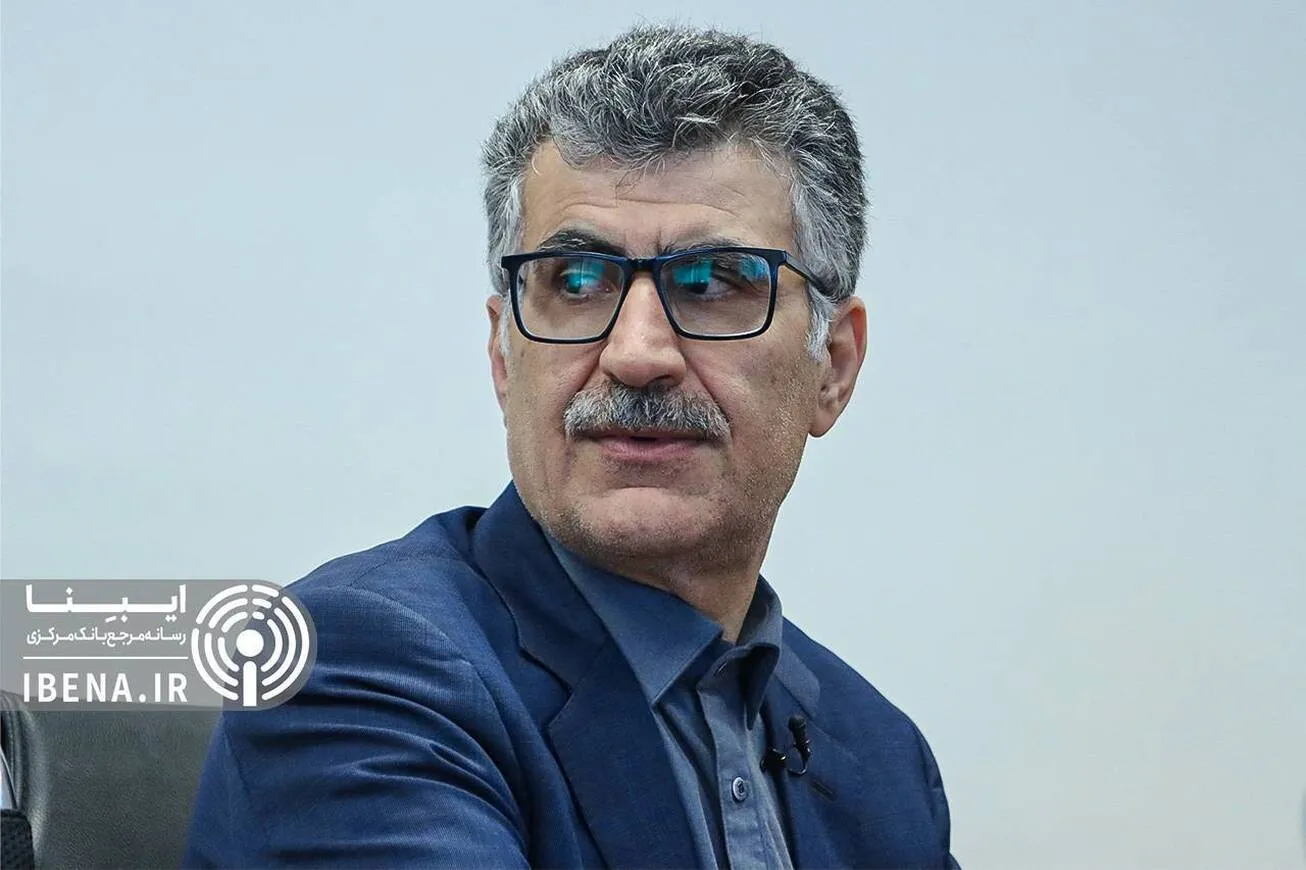 تیمور رحمانی: اگر اقدامات بانک‌مرکزی نبود تورم امسال ۳ رقمی می‌شد