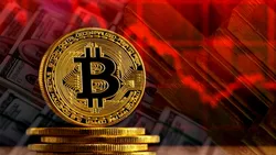قیمت دلار، قیمت سکه و قیمت بیت کوین ۱۵ آذر