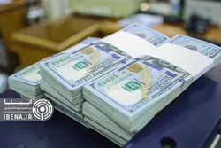 نوسانات ارزی موقت است/ کاهش حباب سکه با عرضه سکه&zwnj;های جدید