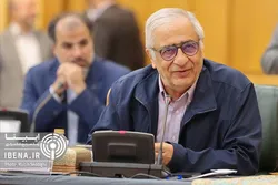 حذف ارز ترجیحی باید با سیاست&zwnj;های جبرانی همراه باشد