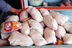 قیمت مرغ قطعه&zwnj;بندی و بسته&zwnj;بندی شده اعلام شد