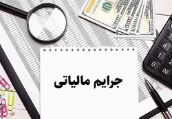 پرداخت پاداش ۵۵۲ میلیون تومانی به گزارشگر فرار مالیاتی