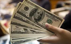 علت سقوط قیمت دلار در روزهای اخیر