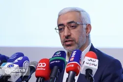 دولت برای ایجاد شفافیت و حذف رانت برنامه دارد/ قیمت&zwnj;گذاری دستوری، تولید را زمین می&zwnj;زند