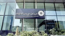 ارز تک&zwnj;نرخی از نگاه بخش خصوصی