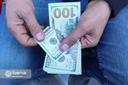 جزئیات معاملات و قیمت دلار و یورو ۲۹ آذر/ عقبگرد دوکاناله دلار توافقی