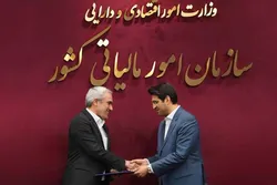 سازمان مالیات در صدر شاخص&zwnj;های تحول و هوشمندسازی