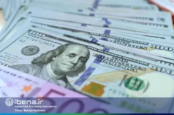 قیمت&zwnj;سازی قماربازان در بازار ارز/ معاملات فردایی جرم است