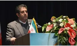 اقساط وام&zwnj;های خرد بهتر از تسهیلات کلان وصول می&zwnj;شود
