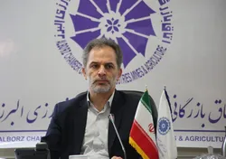بازارسازی دلالان دلار دوام نخواهد داشت/ تاثیر مثبت گشایش&zwnj;های ارزی در رشد اقتصاد