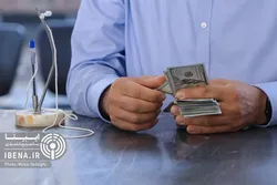 انتقال یارانه ارزی به مصرف&zwnj;کننده، سیاست درست دولت بود