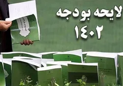 سهم مالیات در بودجه ۱۴۰۲ افزایش می&zwnj;یابد/ تمرکز دولت بر فرار مالیاتی