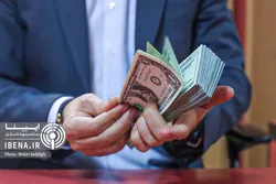 ۱.۶ میلیارد دلار ارز برای واردات در سالجاری تامین شد
