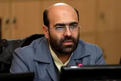 نوسان قیمت دلار اقتصادی نیست
