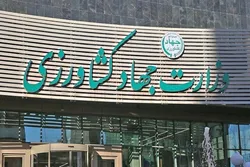 هیچگونه ارز ترجیحی برای چای در دولت سیزدهم داده نشده است