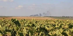 جروزالم&zwnj;پست: بحران امنیت غذایی اسرائیل با ادامه جنگ بدتر شد&zwnj;