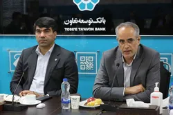 شرکت&zwnj;های تابعه بانک توسعه تعاون باید به عنوان بازوهای تخصصی و  اجرایی بانک باشند