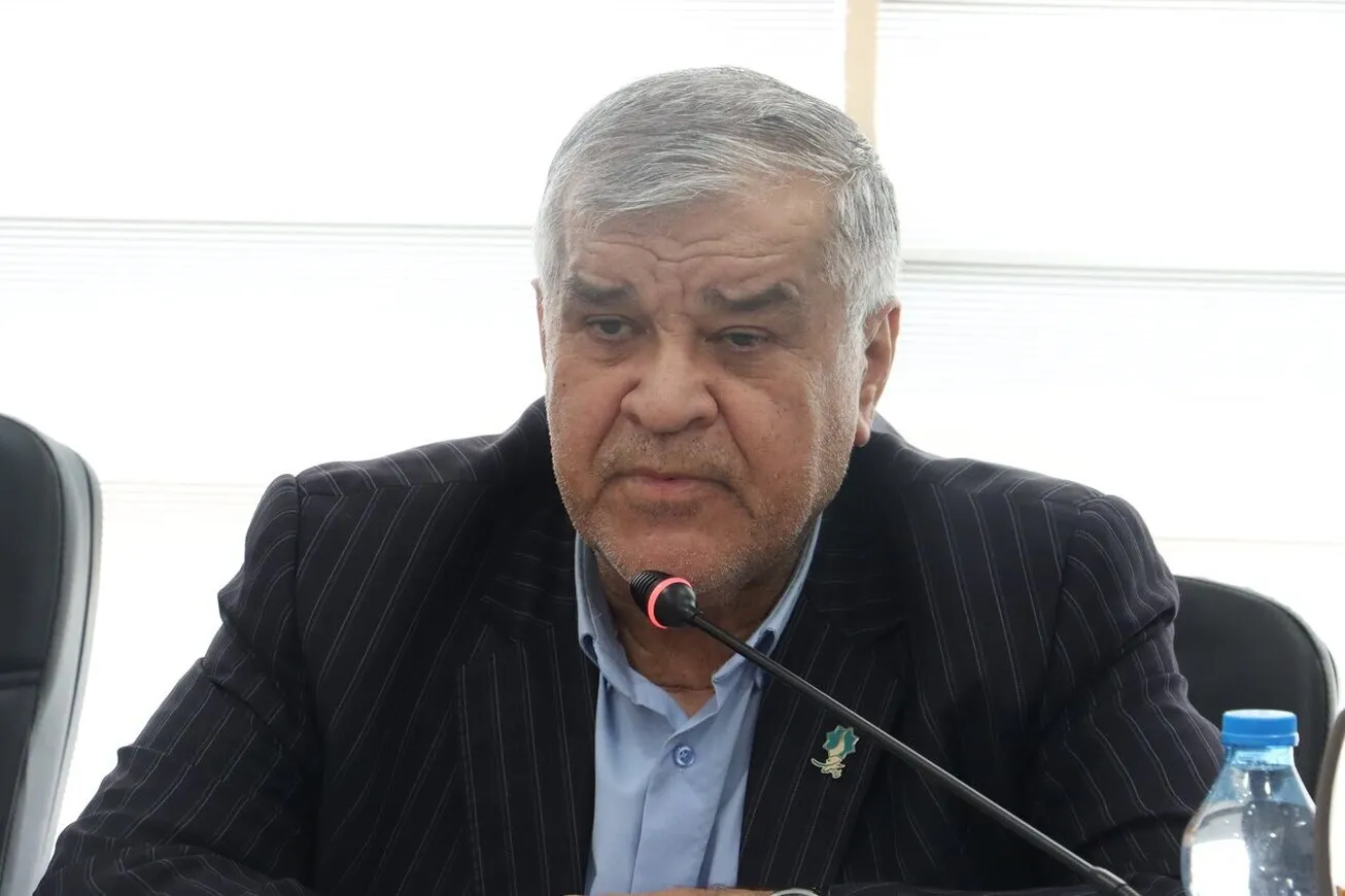 تمدید پیش‌فروش سکه به کاهش حباب و کنترل نقدینگی کمک می‌کند/ امکان پس‌انداز برای دهک‌های پایین