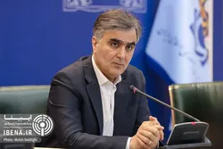 فرزین: دولت فشار تأمین مالی را از نظام بانکی کاهش می&zwnj;دهد