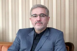 سیاست تثبیت ارز به سرمایه&zwnj;گذار قدرت پیش&zwnj;بینی می&zwnj;دهد