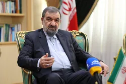 برنامه ساماندهی ۳ موسسه اعتباری ناسالم روی میز شورای سران