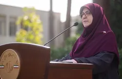 ریسک&zwnj;های خارجی بخشی از دلیل نوسانات دلار و طلا/ بانک&zwnj;مرکزی ثبات بازار را برقرار خواهد کرد