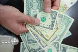 همه مسیر&zwnj;های قانونی بازگشت ارز صادراتی تسهیل شده است