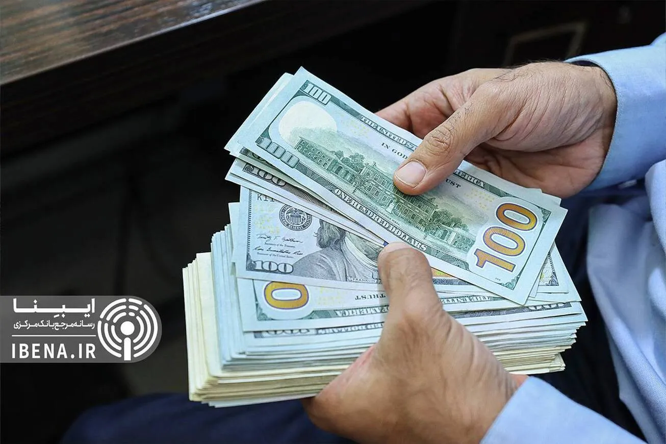 نوسانات بازار ارز موقتی است/ تسلط کامل بازارساز بر بازار ارز