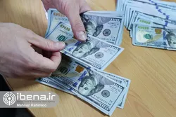 حرکت نرخ ارز برخلاف شاخص&zwnj;های مثبت اقتصادی کشور&zwnj;/ حباب قیمت ارز و سکه می&zwnj;ترکد؟