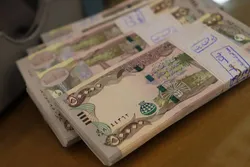 آغاز عرضه ارز اربعین در بانک ملی