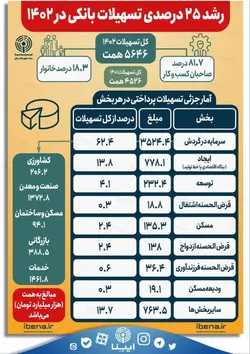 رشد ۲۵ درصدی تسهیلات بانکی در ۱۴۰۲