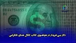 هیاهوی کانال&zwnj;های تلگرامی در نبود خریدار دلار