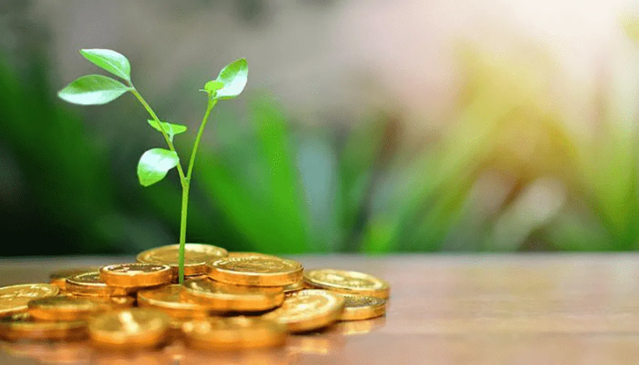 تشکیل نخستین صندوق سرمایه گذاری خصوصی در حوزه دانش بنیان