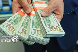 سیاست ارزی جدید دولت با هدف حمایت از اقشار ضعیف اجرا شد