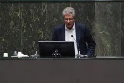 حذف ارز ترجیحی گامی اساسی در مبارزه با فساد و رانت&zwnj;خواری است