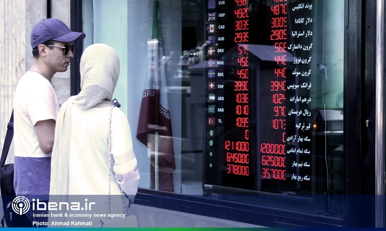 اقتصاد دولتی عامل تنش‌های قیمتی ارز است