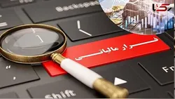 شناسایی فرار مالیاتی ۸۶۰ میلیارد تومانی از یک دلال پتروشیمی در استان فارس