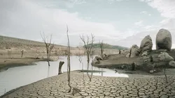 پیش&zwnj;بینی ضعیف&zwnj;ترین چشم&zwnj;انداز رشد اقتصاد جهانی در چند دهه اخیر