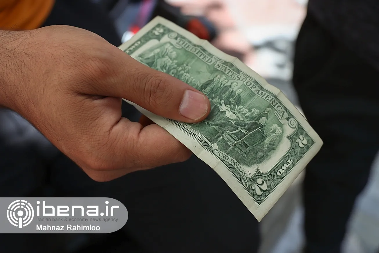 ۱۱۹ اخلالگر ارزی در پایتخت دستگیر شدند