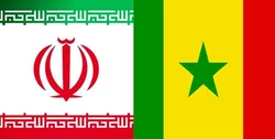 ۴۰ هزار خودروی ایرانی به سنگال صادر می&zwnj;شود/ تجارت ۱.۳ میلیارد دلاری ایران و آفریقا