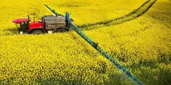 افزایش ۲۸ درصدی صادرات محصولات کشاورزی