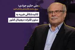 کالبدشکافی ضربه به ستون فقرات دیجیتال کشور