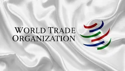 هشدار سازمان تجارت جهانی درباره کاهش رشد اقتصاد جهان