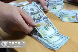 ثبات اقتصادی در سایه تثبیت ارزی/ نقش بانک مرکزی در مدیریت تبادلات ارزی چیست؟