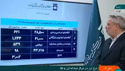 جزییات تامین ارز کالا&zwnj;های اساسی از سوی بانک مرکزی